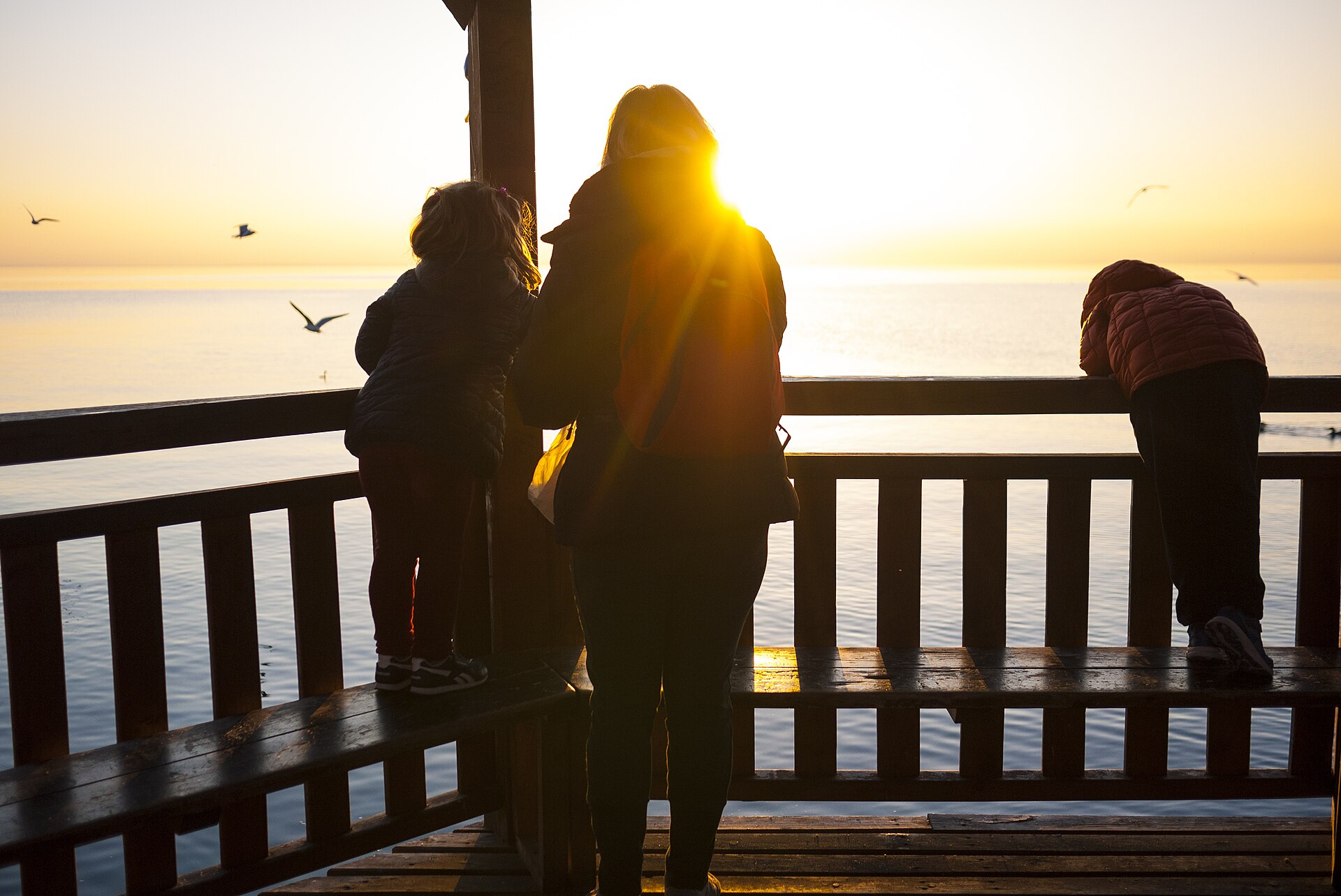 An adult and two children look out from a wooden pier at the sun setting over the water, with seagulls overhead